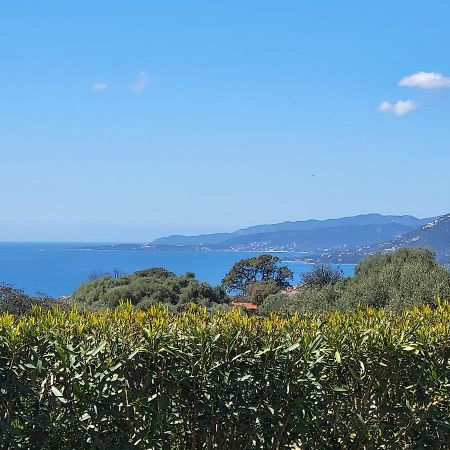 T3 Propriano Vue Mer, Neuf, Climatise Et Classe 4 Etoiles Viggianello Exteriér fotografie