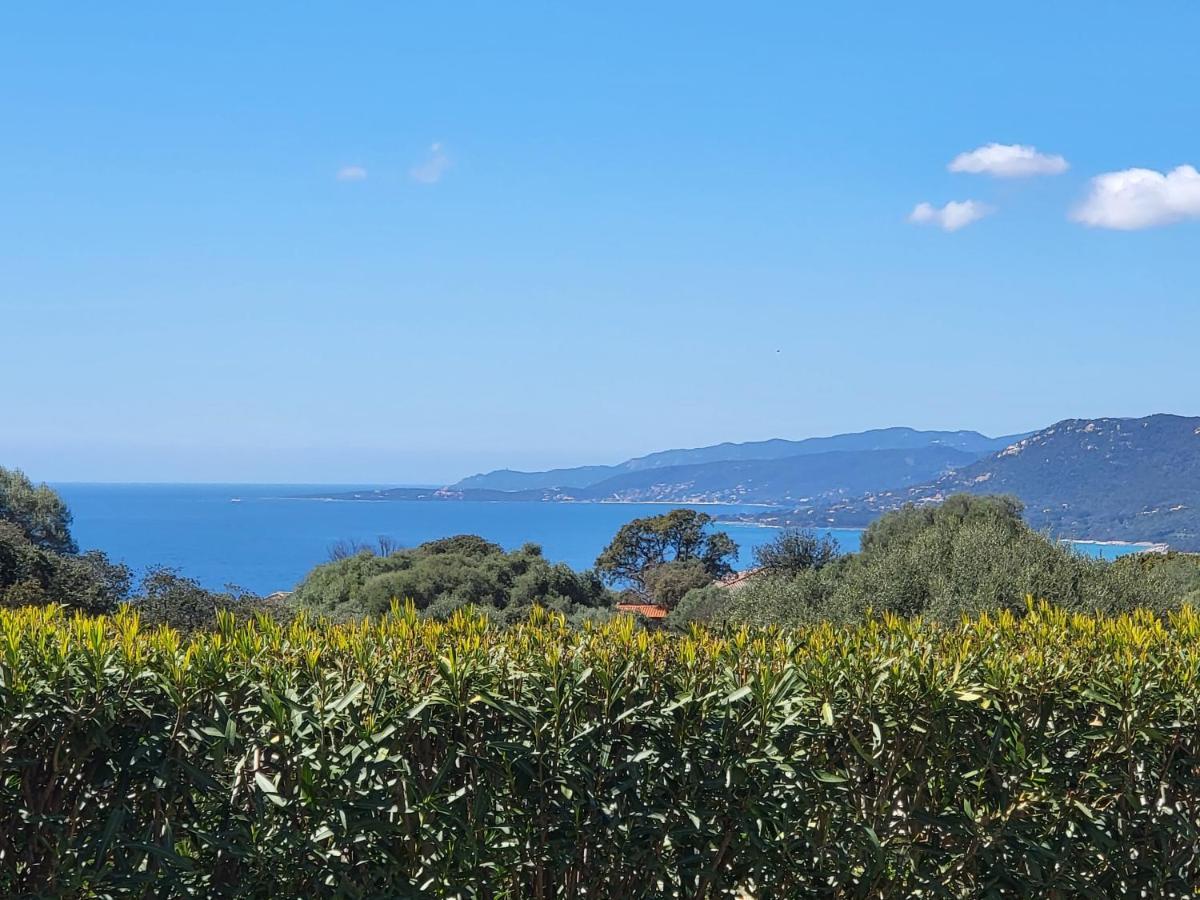 T3 Propriano Vue Mer, Neuf, Climatise Et Classe 4 Etoiles Viggianello Exteriér fotografie